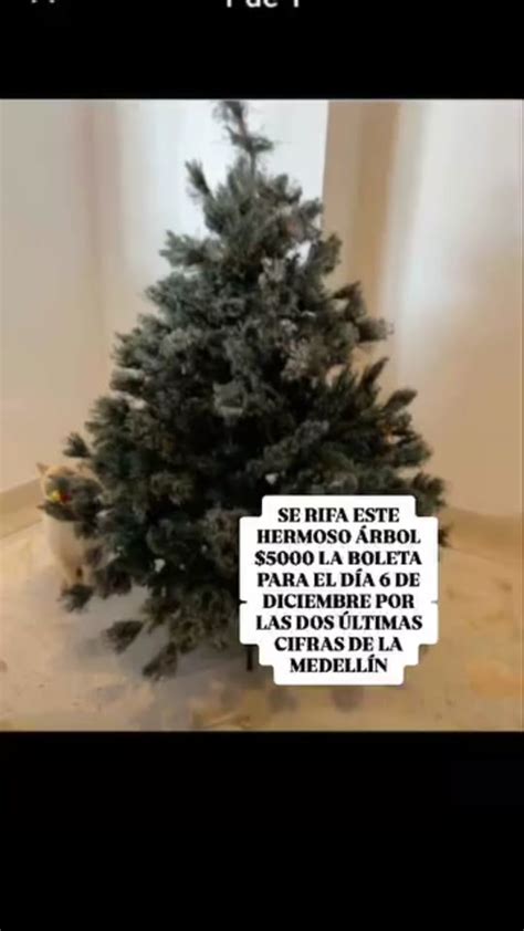 Wattpad 2025 EXE Download