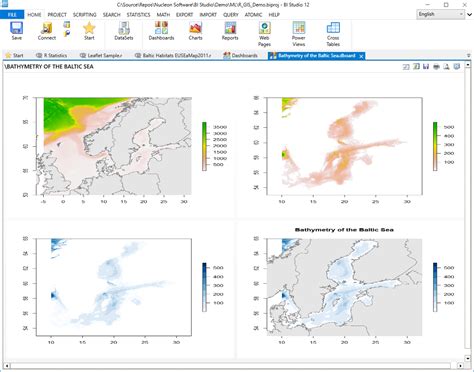 Nucleon BI Studio 12.0.0.10122